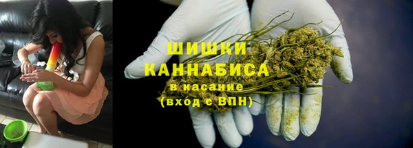 кокс Белокуриха