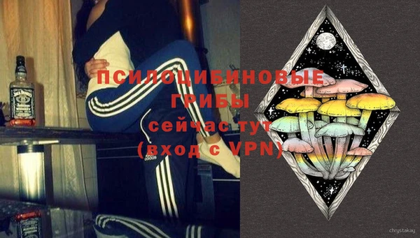 кокс Белокуриха