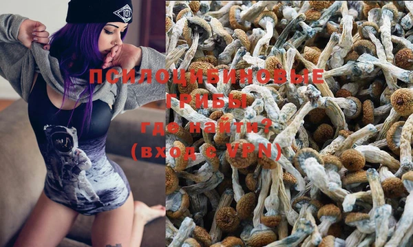 кокс Белокуриха