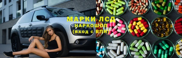 кокс Белокуриха