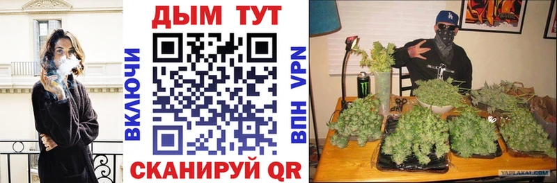 Шишки марихуана MAZAR  купить закладку  Горняк 